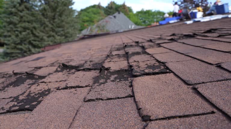 Best Rubber Roofing (EPDM, TPO)  in Rutgers University Busch Campus, NJ