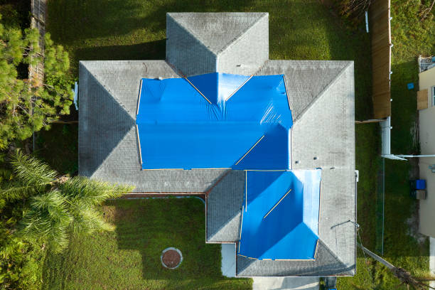 Best Skylight Installation and Repair  in Rutgers University Busch Campus, NJ